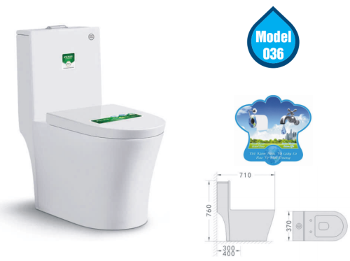 Bồn cầu một khối Model 036